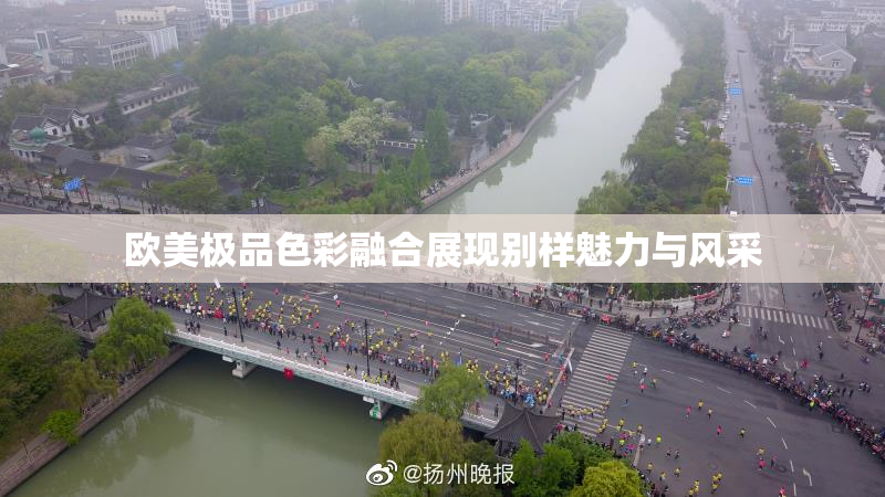 欧美极品色彩融合展现别样魅力与风采