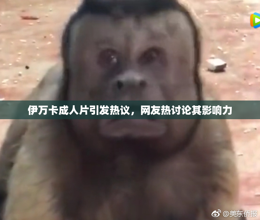 伊万卡成人片引发热议，网友热讨论其影响力