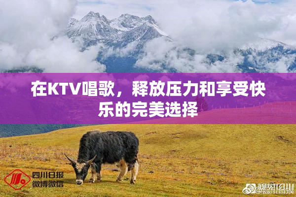 在KTV唱歌，释放压力和享受快乐的完美选择