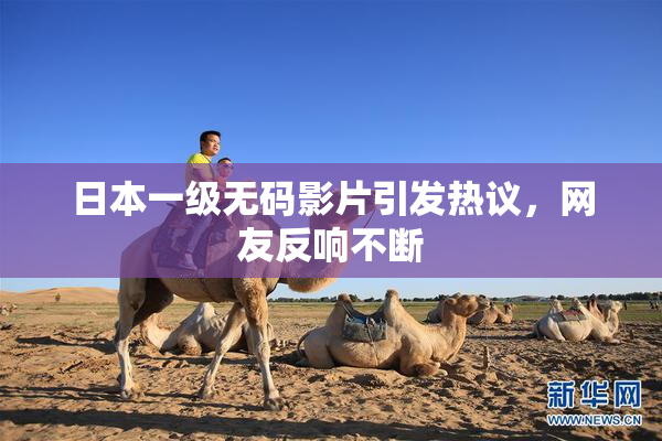 日本一级无码影片引发热议，网友反响不断