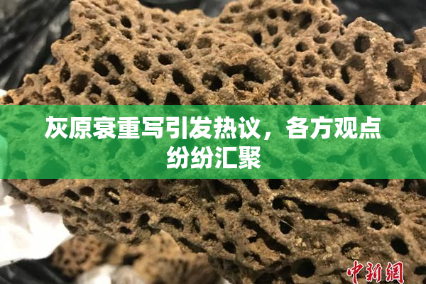 灰原衰重写引发热议，各方观点纷纷汇聚