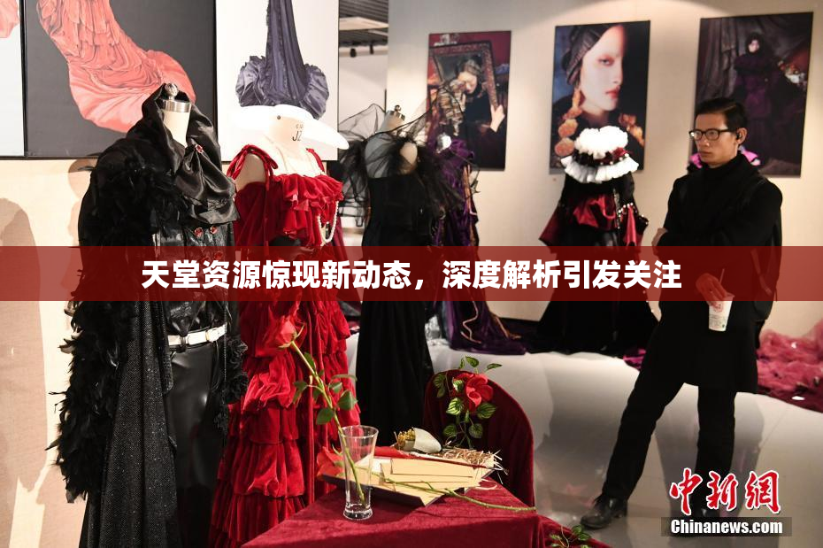 天堂资源惊现新动态，深度解析引发关注