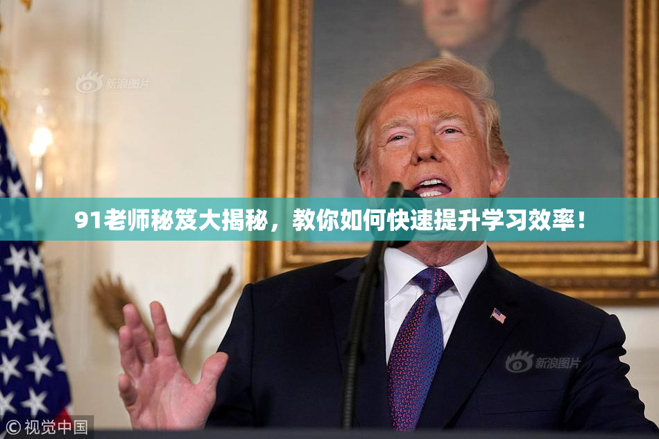 91老师秘笈大揭秘，教你如何快速提升学习效率！