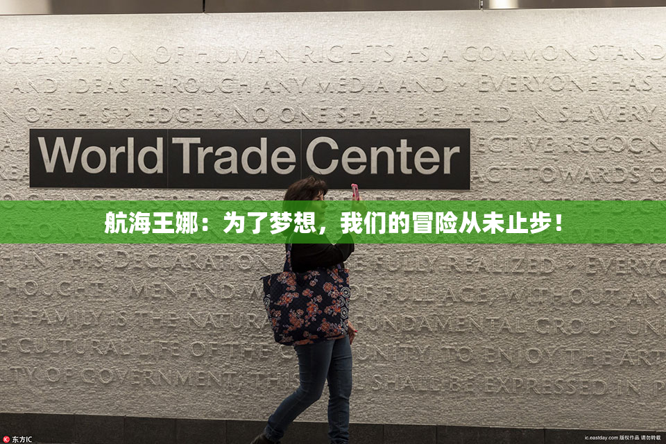 航海王娜：为了梦想，我们的冒险从未止步！