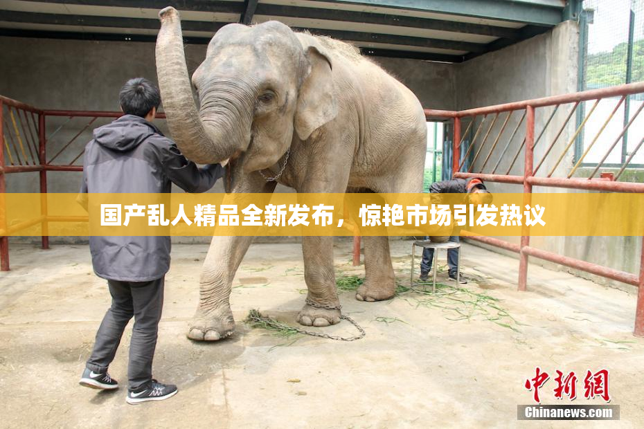 国产乱人精品全新发布，惊艳市场引发热议
