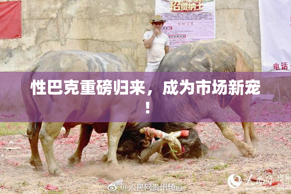 性巴克重磅归来，成为市场新宠！