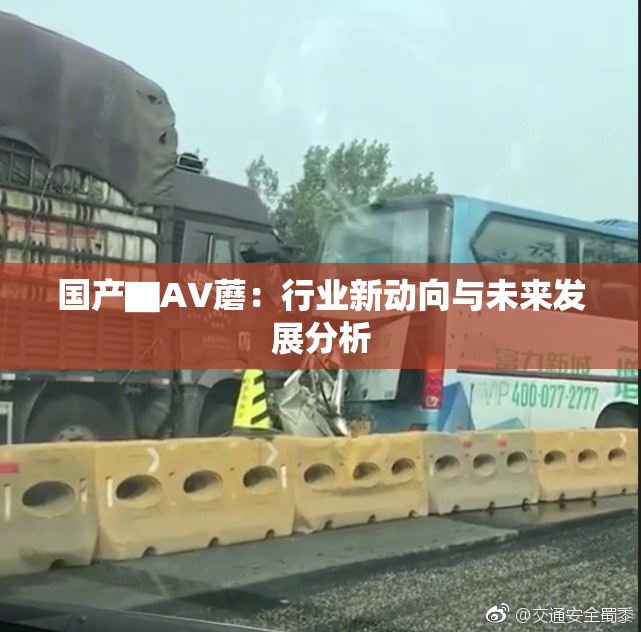 国产▇AV蘑：行业新动向与未来发展分析