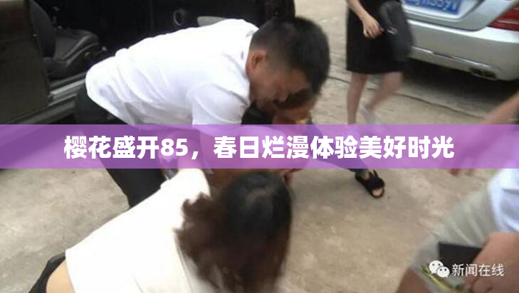 樱花盛开85，春日烂漫体验美好时光