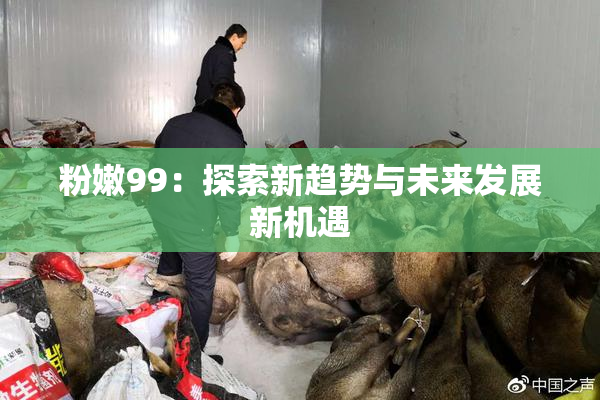 粉嫩99：探索新趋势与未来发展新机遇