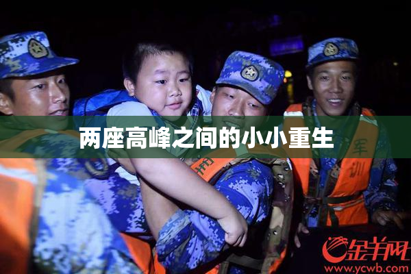 两座高峰之间的小小重生