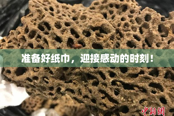 准备好纸巾，迎接感动的时刻！