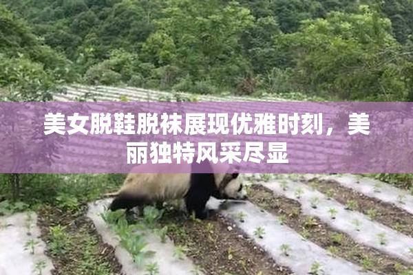 美女脱鞋脱袜展现优雅时刻，美丽独特风采尽显