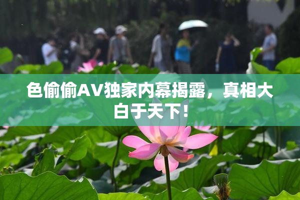 色偷偷AV独家内幕揭露，真相大白于天下！