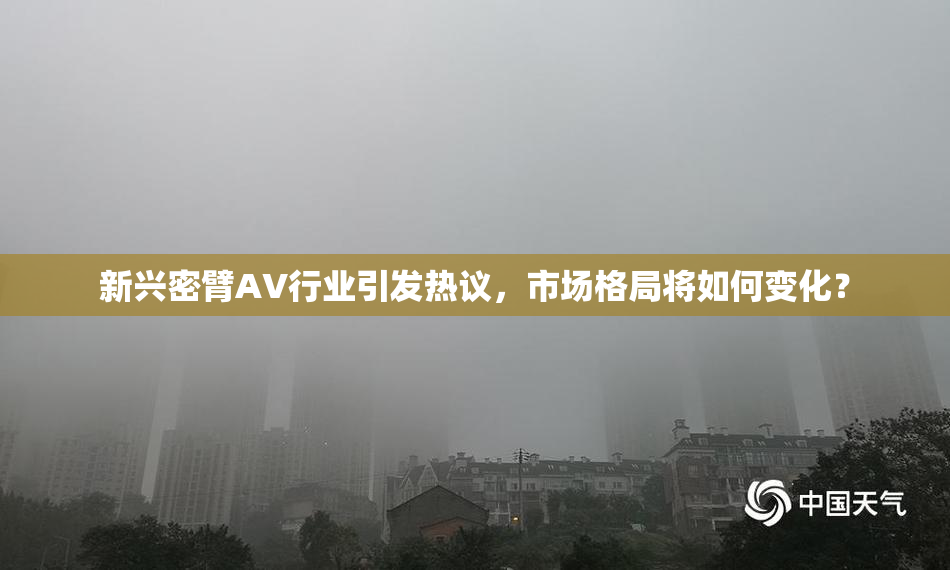 新兴密臂AV行业引发热议，市场格局将如何变化？