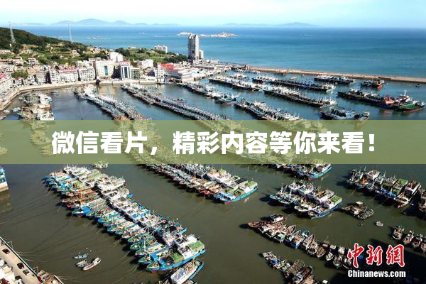 微信看片，精彩内容等你来看！