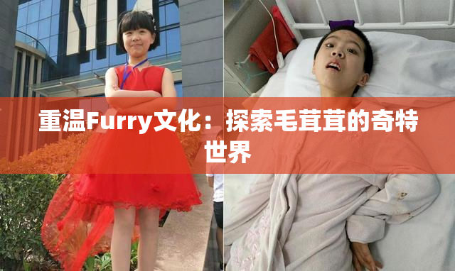 重温Furry文化：探索毛茸茸的奇特世界