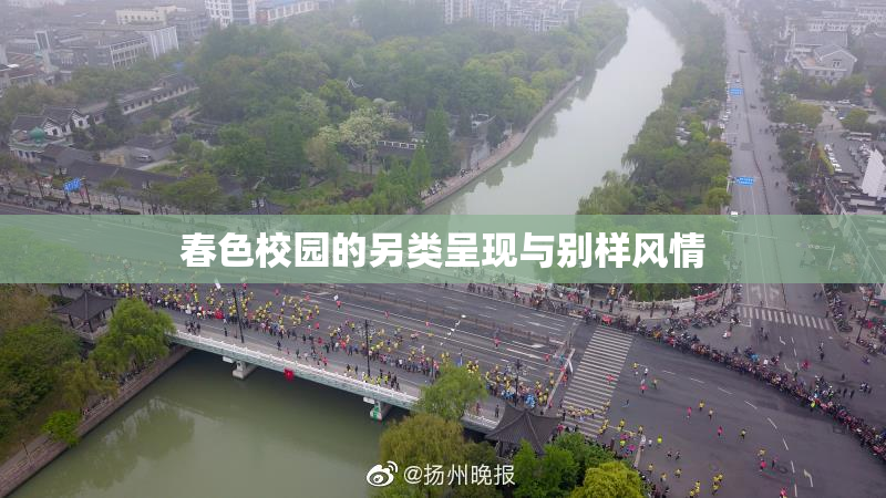 春色校园的另类呈现与别样风情