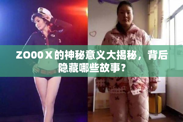 ZO00Ⅹ的神秘意义大揭秘，背后隐藏哪些故事？