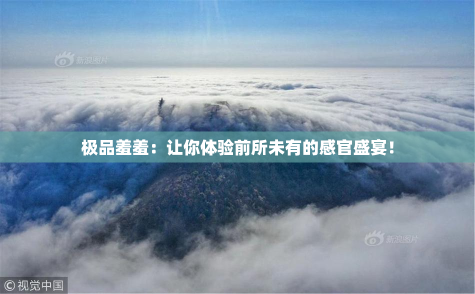 极品羞羞：让你体验前所未有的感官盛宴！