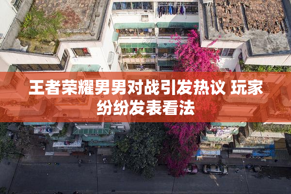 王者荣耀男男对战引发热议 玩家纷纷发表看法