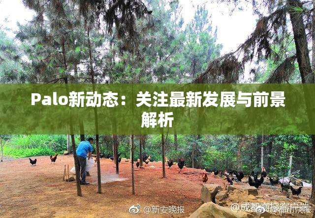 Palo新动态：关注最新发展与前景解析