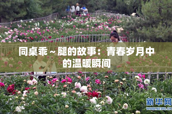 同桌乖～腿的故事：青春岁月中的温暖瞬间