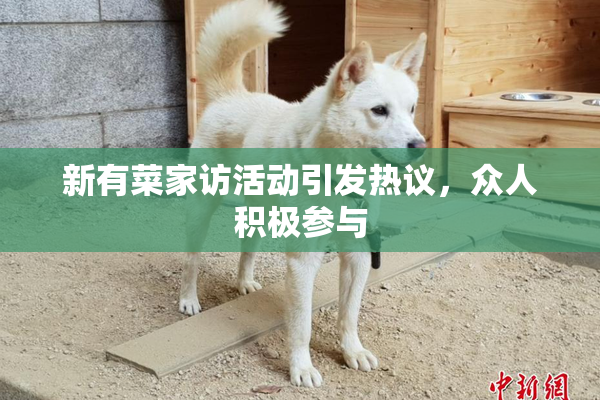 新有菜家访活动引发热议，众人积极参与