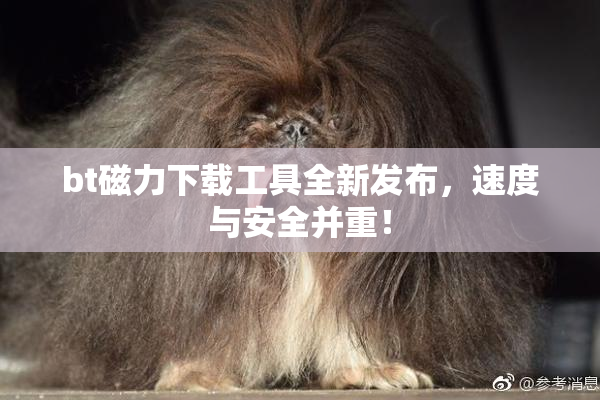 bt磁力下载工具全新发布，速度与安全并重！