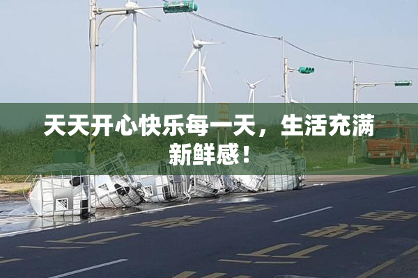 天天开心快乐每一天，生活充满新鲜感！
