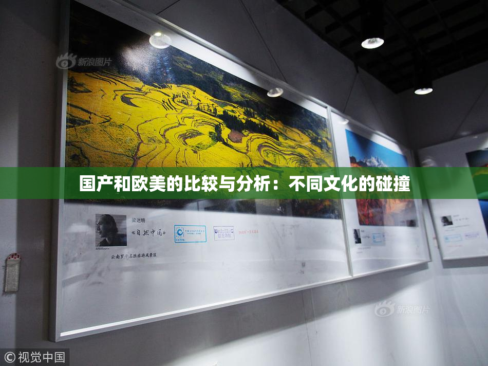 国产和欧美的比较与分析：不同文化的碰撞
