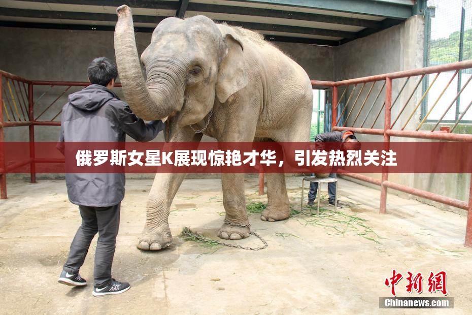 俄罗斯女星K展现惊艳才华，引发热烈关注