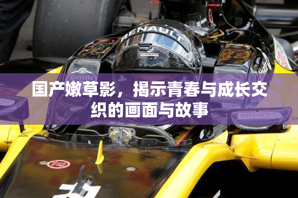 国产嫩草影，揭示青春与成长交织的画面与故事