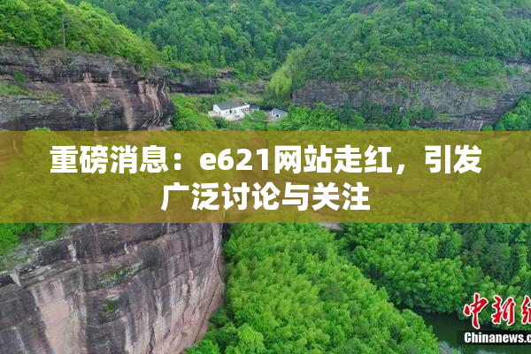 重磅消息：e621网站走红，引发广泛讨论与关注