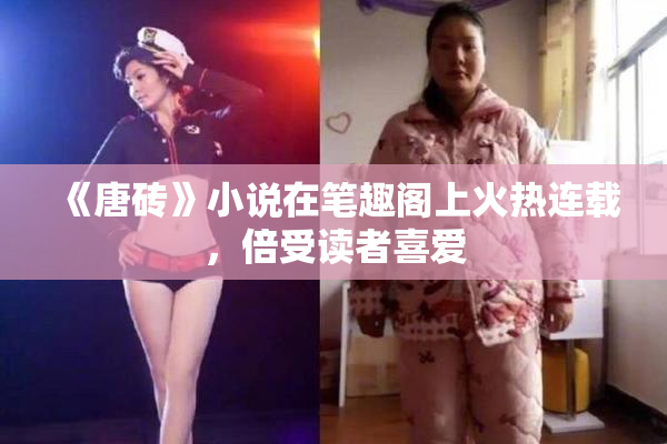 《唐砖》小说在笔趣阁上火热连载，倍受读者喜爱