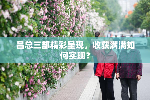吕总三部精彩呈现，收获满满如何实现？
