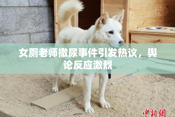 女厕老师撒尿事件引发热议，舆论反应激烈