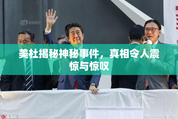 美杜揭秘神秘事件，真相令人震惊与惊叹