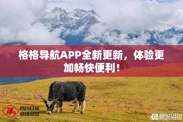 格格导航APP全新更新，体验更加畅快便利！