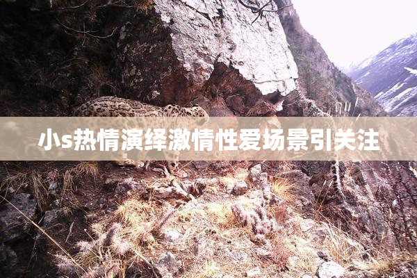 小s热情演绎激情性爱场景引关注