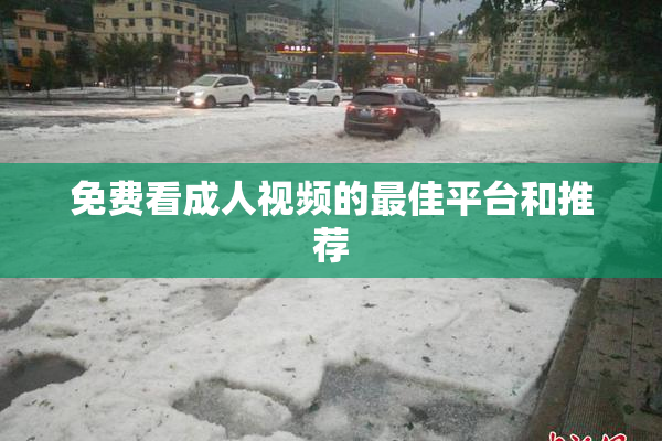 免费看成人视频的最佳平台和推荐