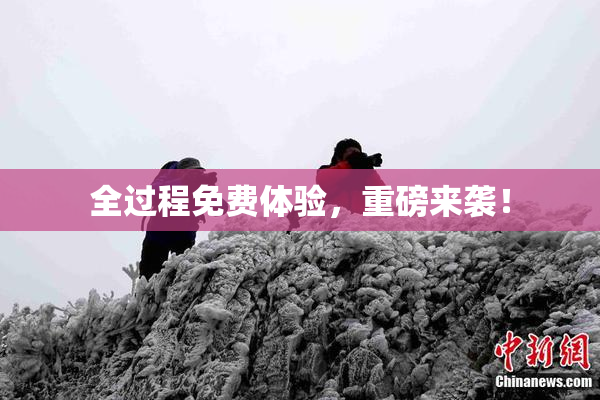 全过程免费体验，重磅来袭！