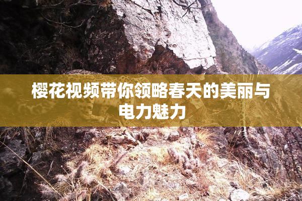 樱花视频带你领略春天的美丽与电力魅力