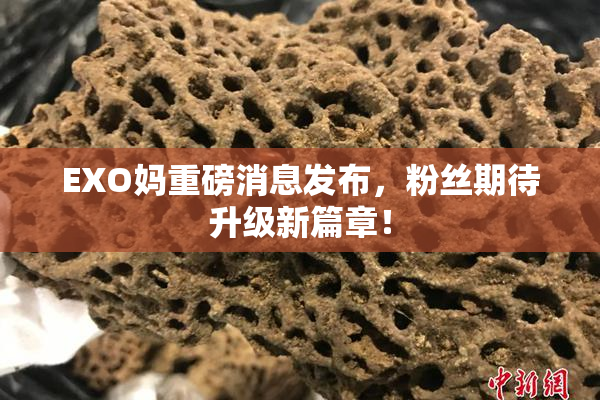 EXO妈重磅消息发布，粉丝期待升级新篇章！