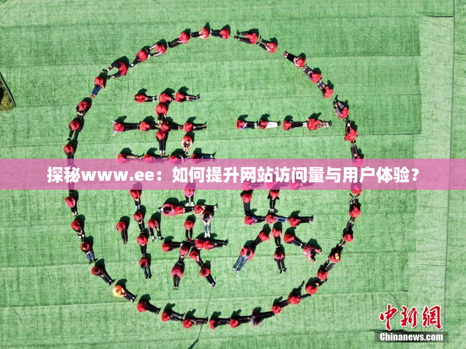 探秘www.ee：如何提升网站访问量与用户体验？