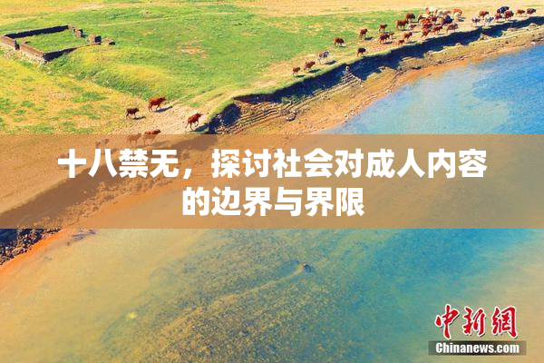 十八禁无，探讨社会对成人内容的边界与界限