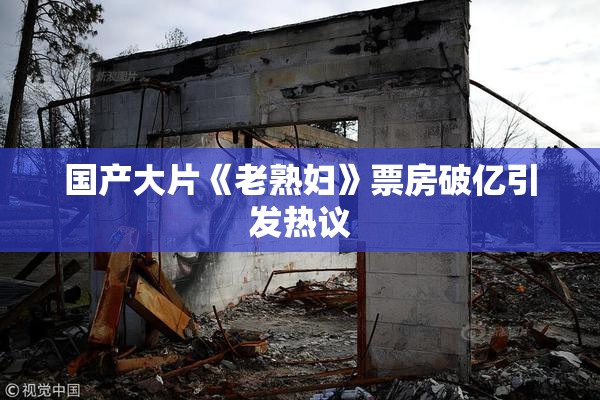 国产大片《老熟妇》票房破亿引发热议