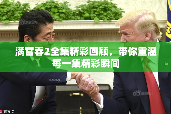 满宫春2全集精彩回顾，带你重温每一集精彩瞬间