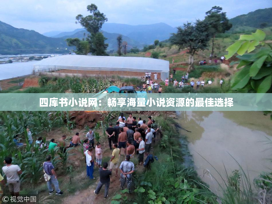 四库书小说网：畅享海量小说资源的最佳选择