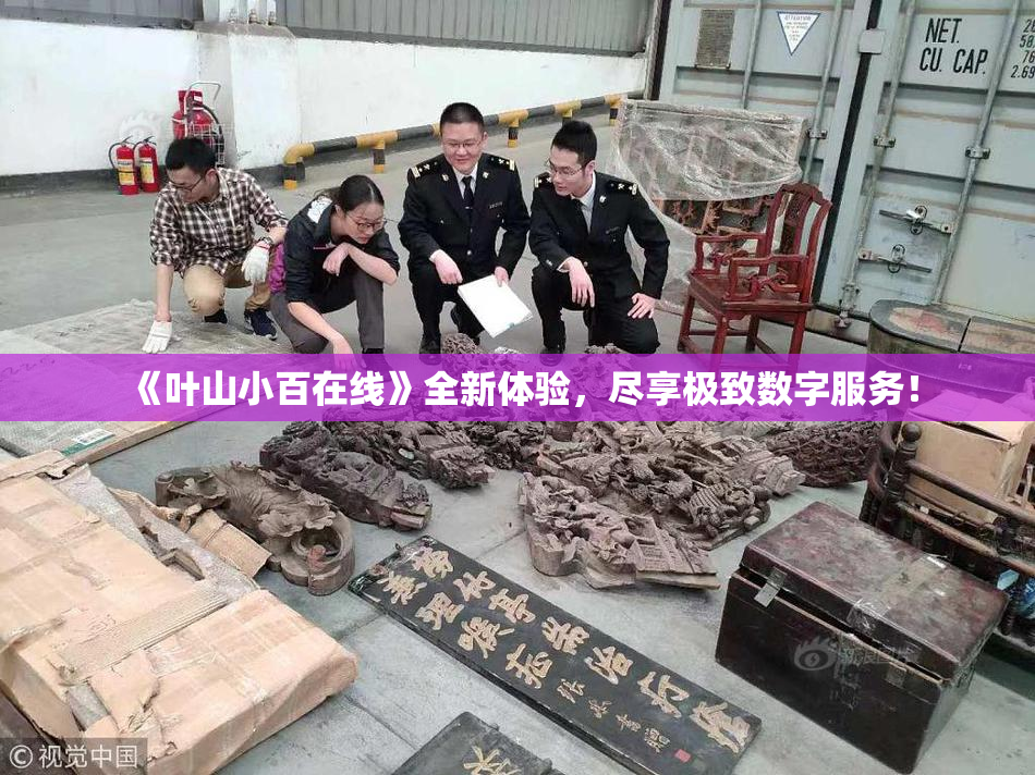 《叶山小百在线》全新体验，尽享极致数字服务！