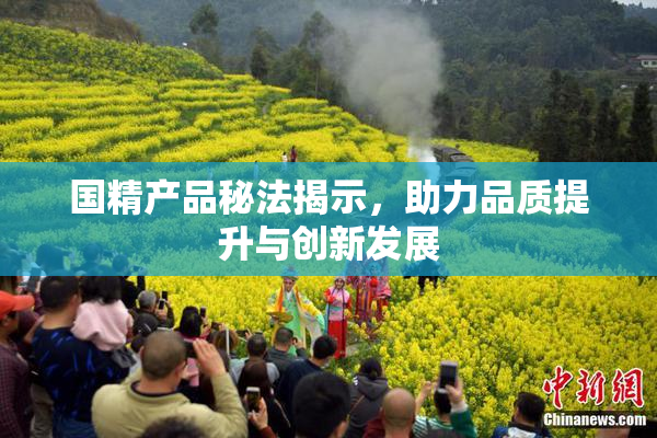 国精产品秘法揭示，助力品质提升与创新发展
